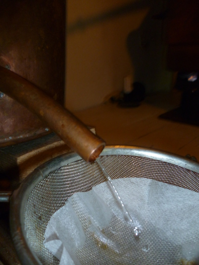 filet d'hydrolat à la sortie de l'alambic