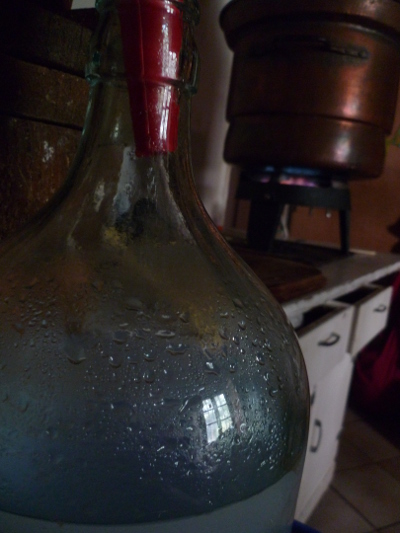 l'hydrolat coule directement dans la dame-jeanne