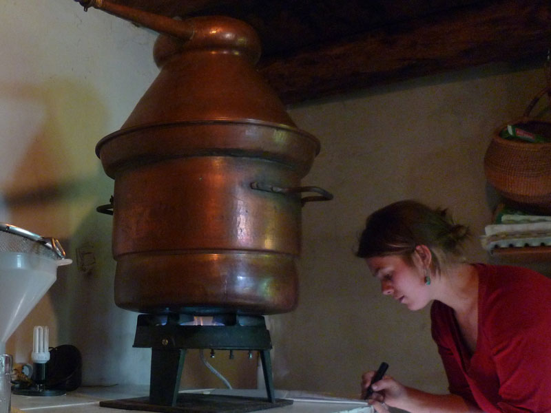 Akeomaï - Plantes médicinales d'Ardèche