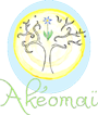 logo akeomi avec nom